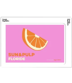 Image Republic Affiche Anjuna Boutan Floride 38 x 56 cm* Affiches & Tableaux