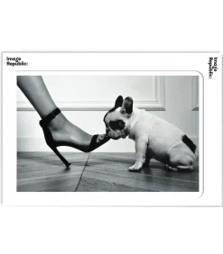 Image Republic Affiche La Galerie Jane de Boy Raoul 40 x 50 cm* Affiches & Tableaux