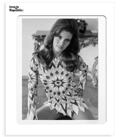 Image Republic Affiche La Galerie Raquel Welch 5 38 x 56 cm* Affiches & Tableaux