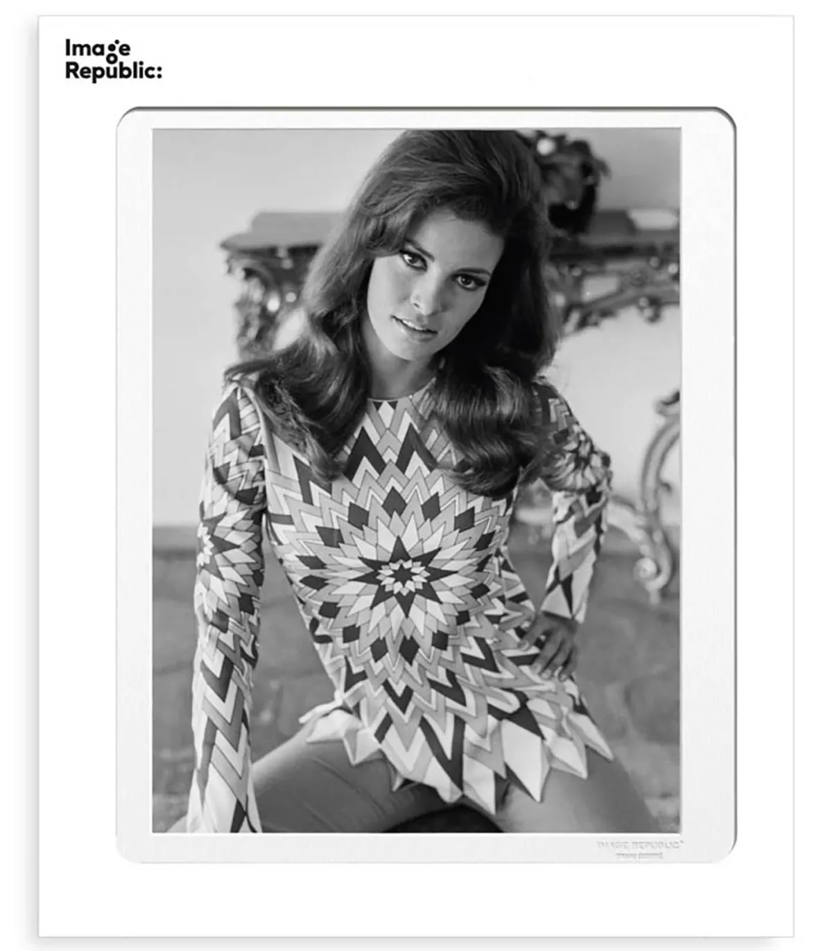 Image Republic Affiche La Galerie Raquel Welch 5 38 x 56 cm* Affiches & Tableaux