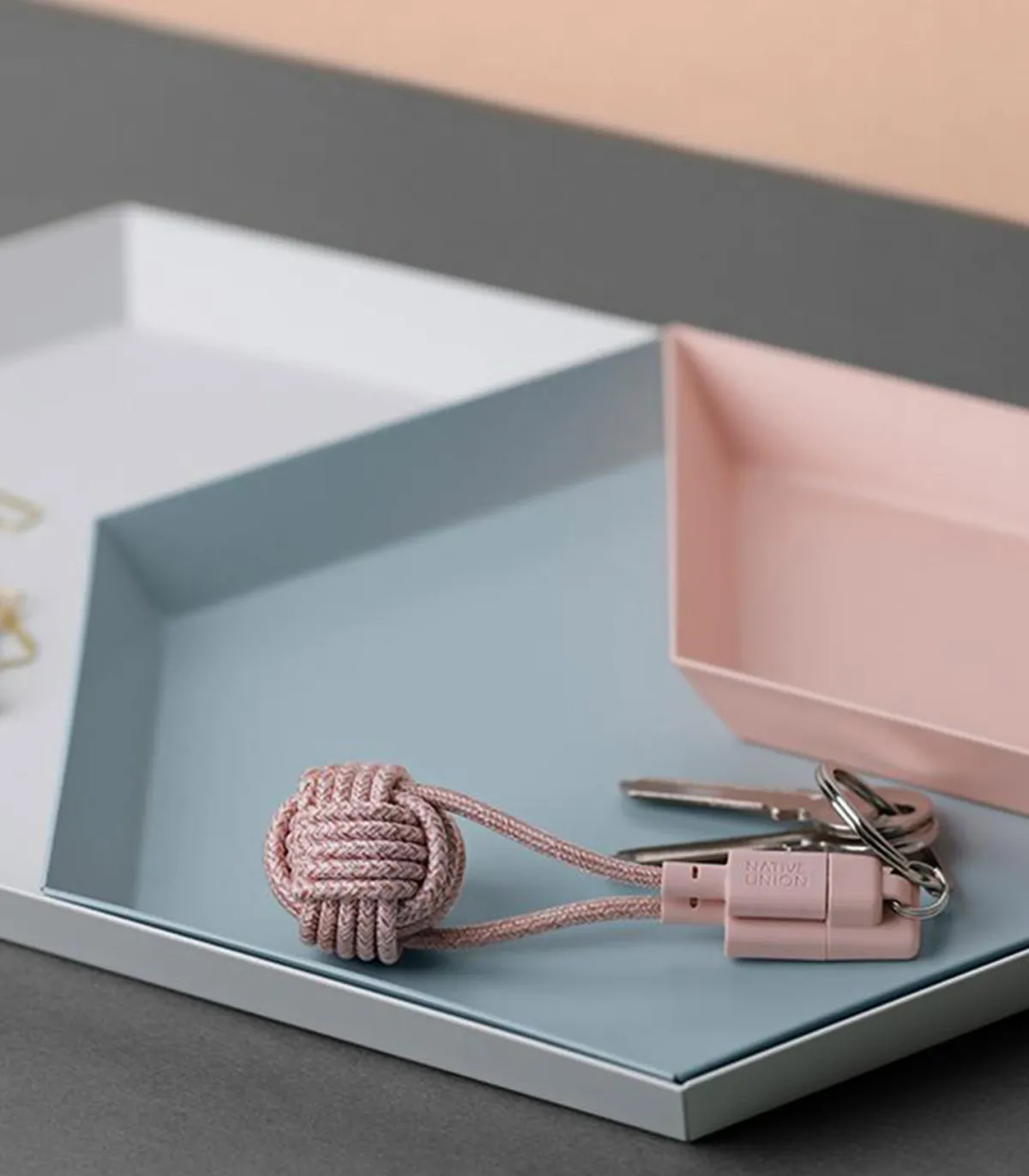 Native Union Câble de charge porte-clés USB* Accessoires Smartphone