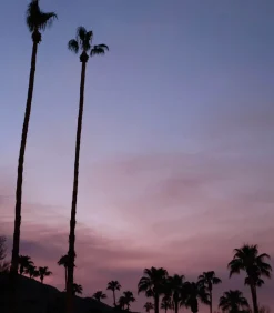 Lola James Harper Eau de toilette #27 Do what you love with people you love 100ml*Femme Eaux De Toilette