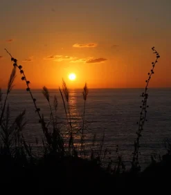 Lola James Harper Eau de toilette #24 Play Again Now 100ml*Femme Eaux De Toilette|Eaux De Toilette