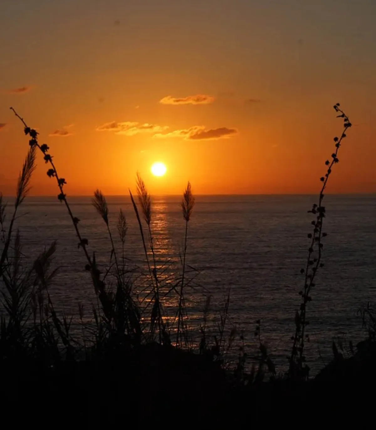 Lola James Harper Eau de toilette #24 Play Again Now 100ml*Femme Eaux De Toilette|Eaux De Toilette