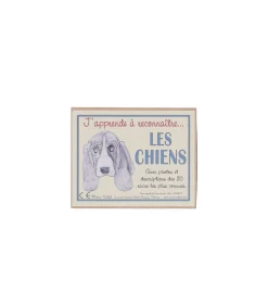 Marc Vidal J'apprends à reconnaître Les Chiens* Jeux & Jouets