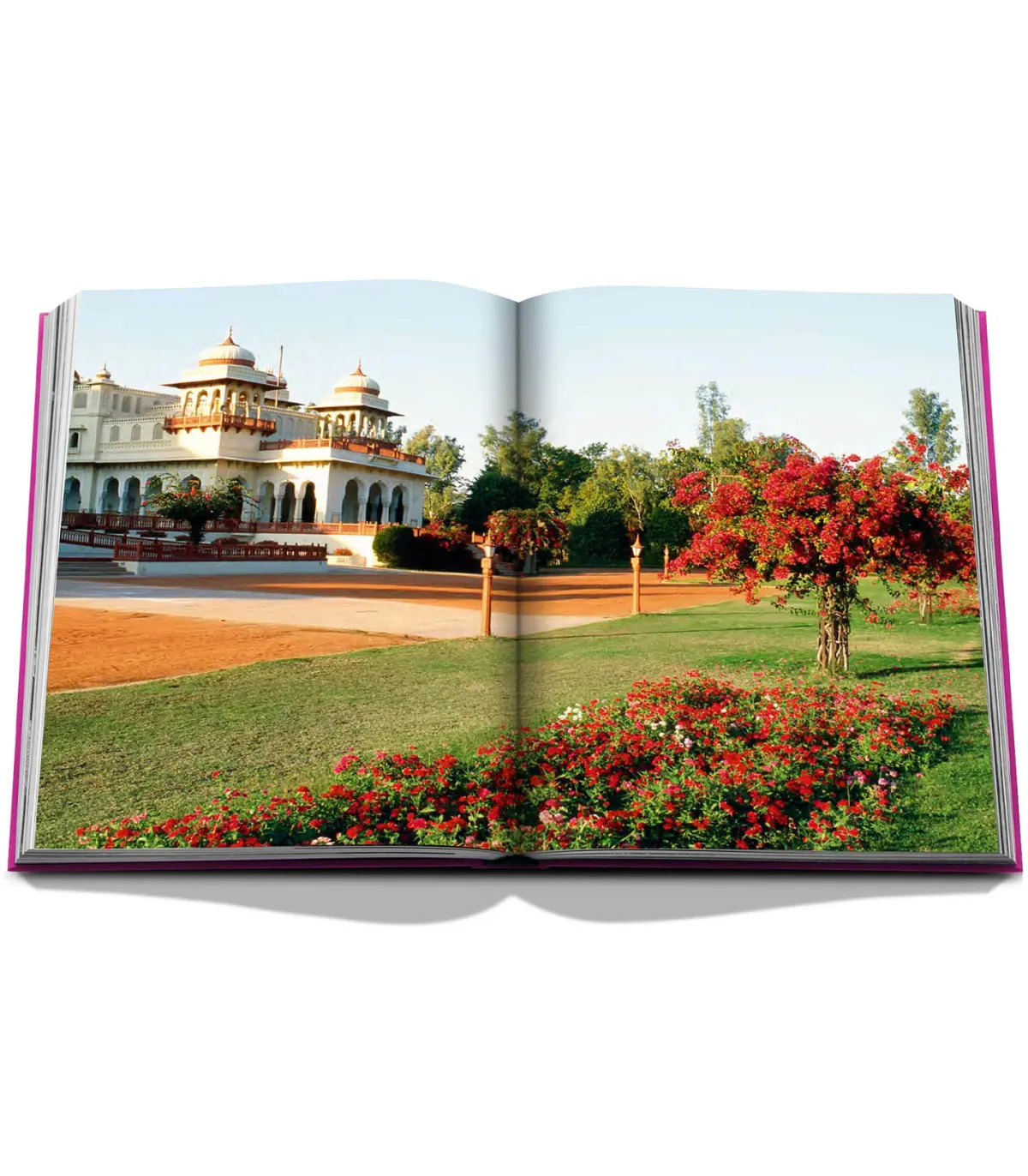 Assouline Livre Jaipur Slendor* Beaux Livres