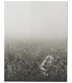 Taschen Livre The Golden Retriever Photographic Society* Beaux Livres