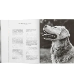 Taschen Livre The Golden Retriever Photographic Society* Beaux Livres