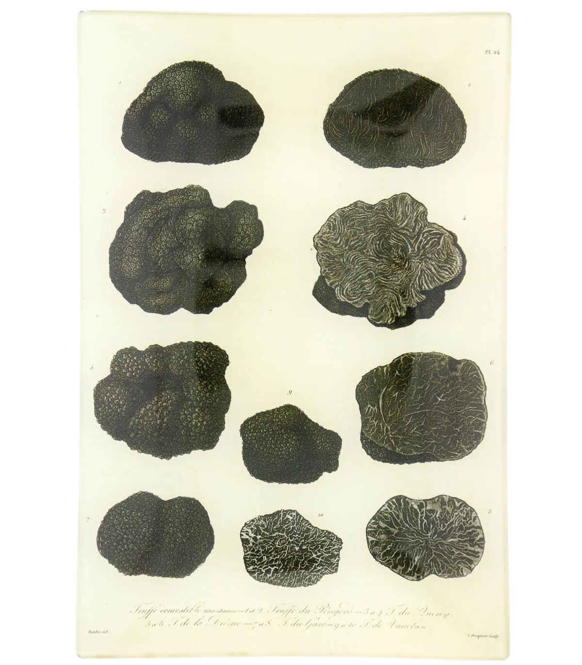 John Derian Vide-poches vintage "Mushrooms"* Rangements